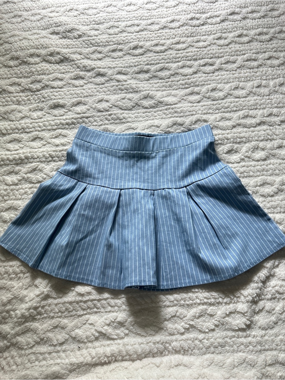 Blue Pinstripe Pleated Women's Skirt
